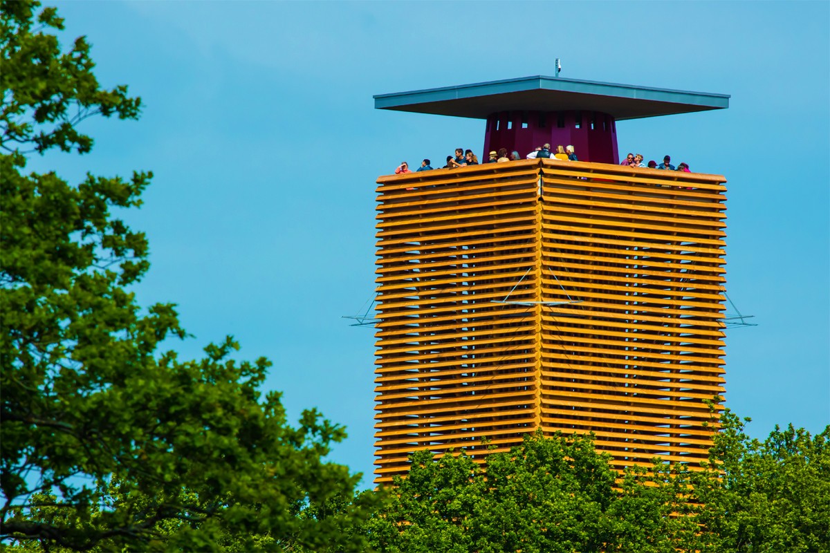 03x-Neubau-Aussichtsturm-Waldi-1